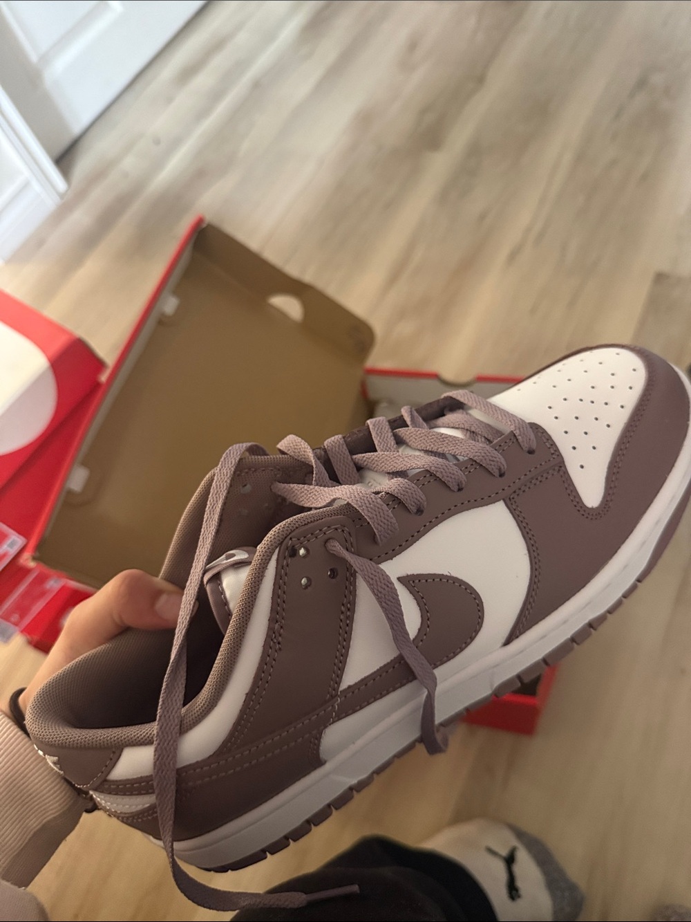 Nike Men’s Dunk Low White and Brown Sneakers